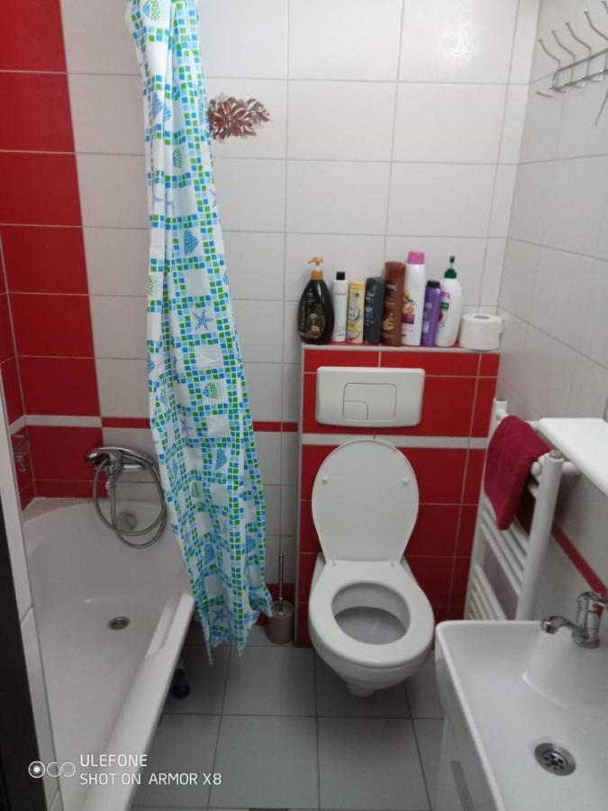 Apartament Cu Un Dormitor Spatios In Centrul Cluj-Napoca Exterior photo