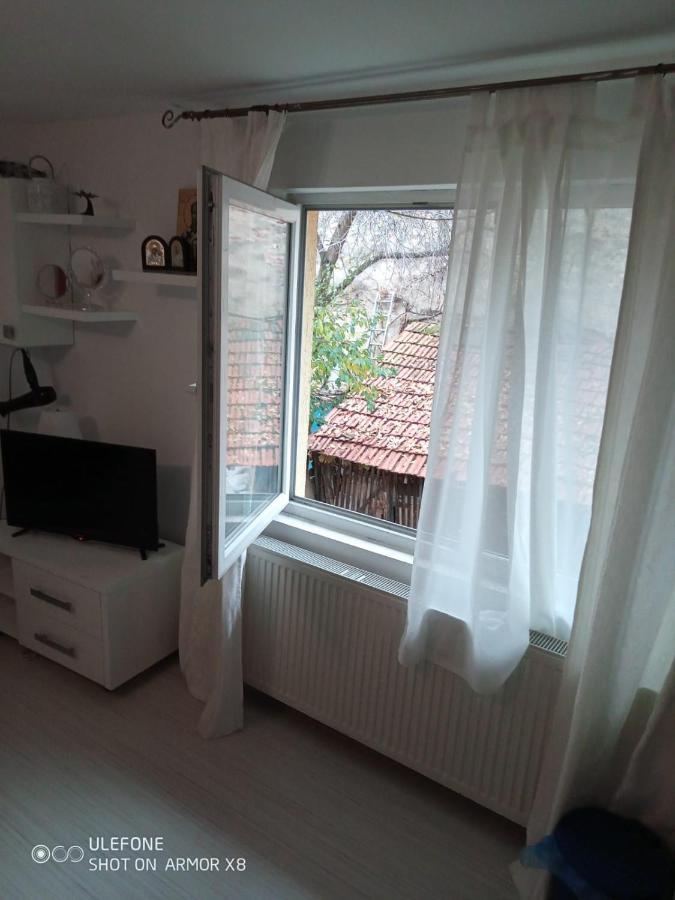 Apartament Cu Un Dormitor Spatios In Centrul Cluj-Napoca Exterior photo