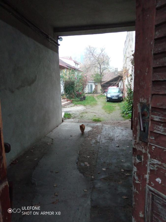 Apartament Cu Un Dormitor Spatios In Centrul Cluj-Napoca Exterior photo