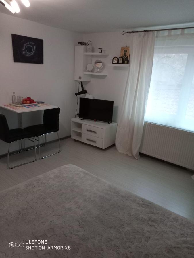 Apartament Cu Un Dormitor Spatios In Centrul Cluj-Napoca Exterior photo